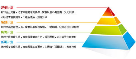 碧桂園集團(tuán) 領(lǐng)導(dǎo)力發(fā)展項(xiàng)目